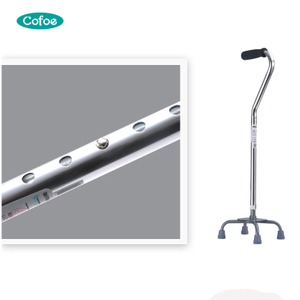 KFSZ010 Mobile Home Canes