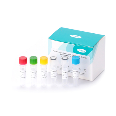 Mycobacterium Tuberculosis Nucleic Acid Test Kit (Fluorescence PCR Method)