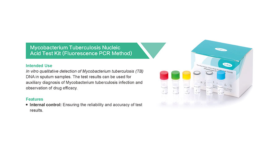 Mycobacterium Tuberculosis 结核分枝杆菌